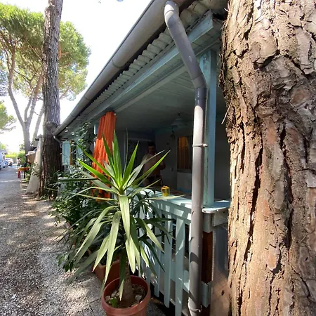 Camping Camping La Quiete *